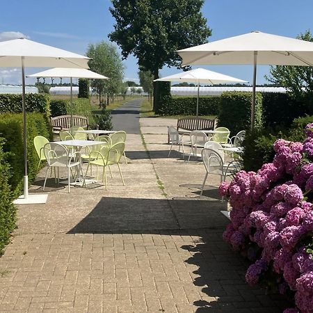Tannine Et Cuisine Villa Jabbeke  Buitenkant foto