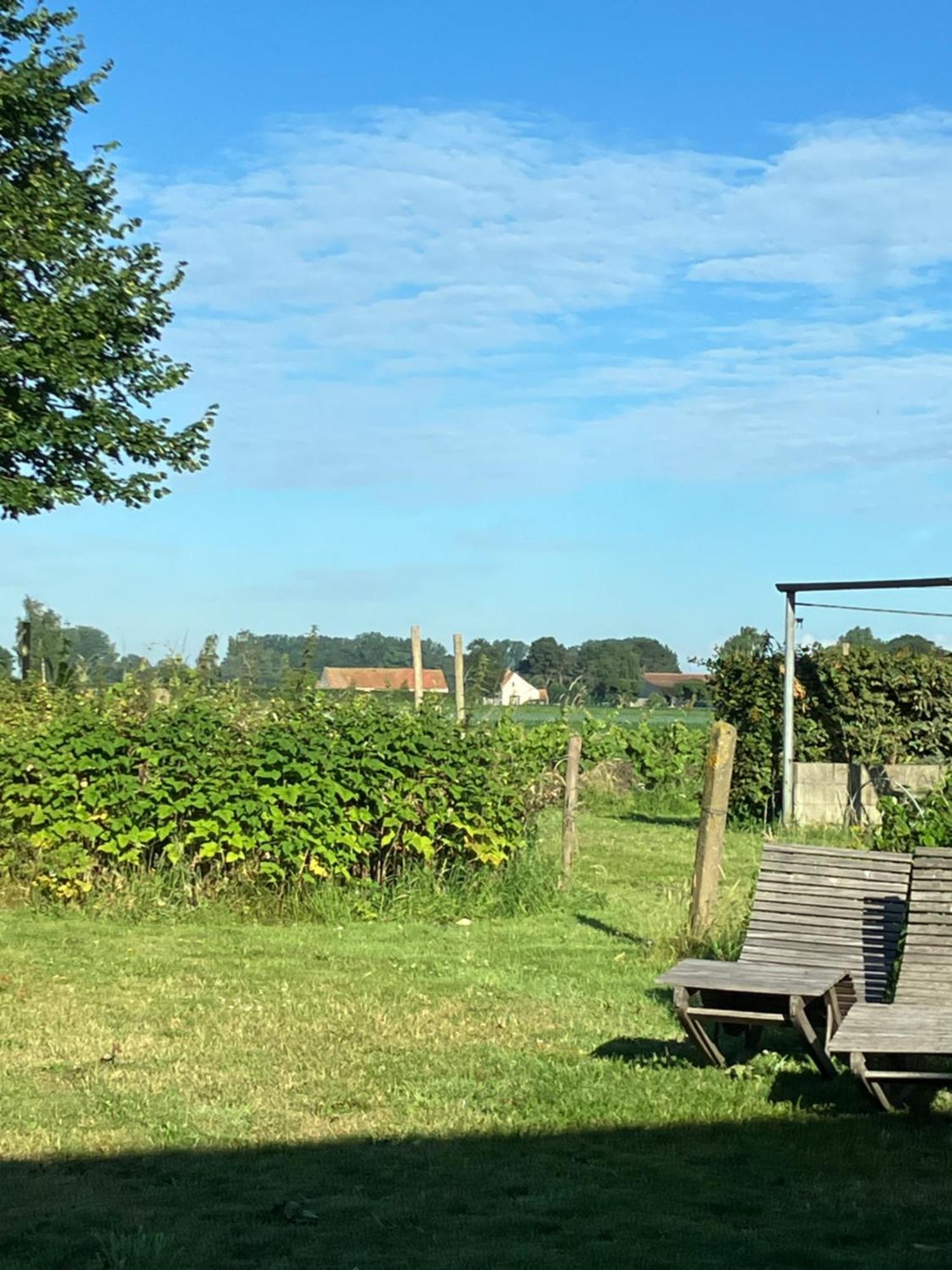 Tannine Et Cuisine Villa Jabbeke  Buitenkant foto