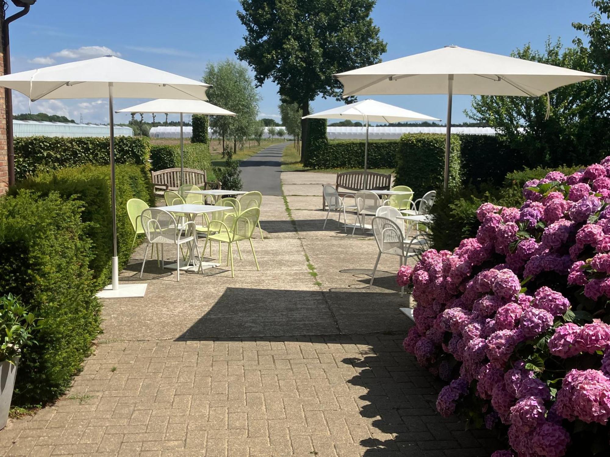 Tannine Et Cuisine Villa Jabbeke  Buitenkant foto
